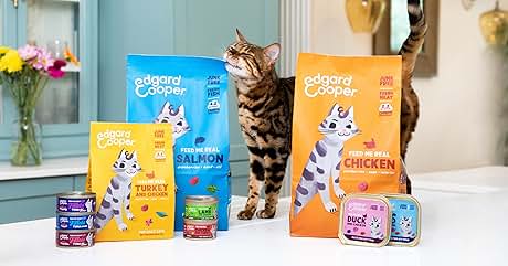 3a72178f-1280-4812-bd92-c9b75fafb12c._CR0,31,2986,1564_SX460_QL70_